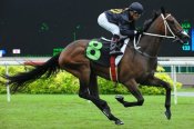 Super Kenny strides to an impressive victory on Sunday.<br>Photo by Singapore Turf Club